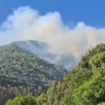 धधक रहे हैं गढ़वाल के जंगल, अप्रैल में ही 42 फीसदी अधिक जंगल जल चुके