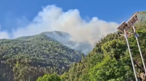 धधक रहे हैं गढ़वाल के जंगल, अप्रैल में ही 42 फीसदी अधिक जंगल जल चुके